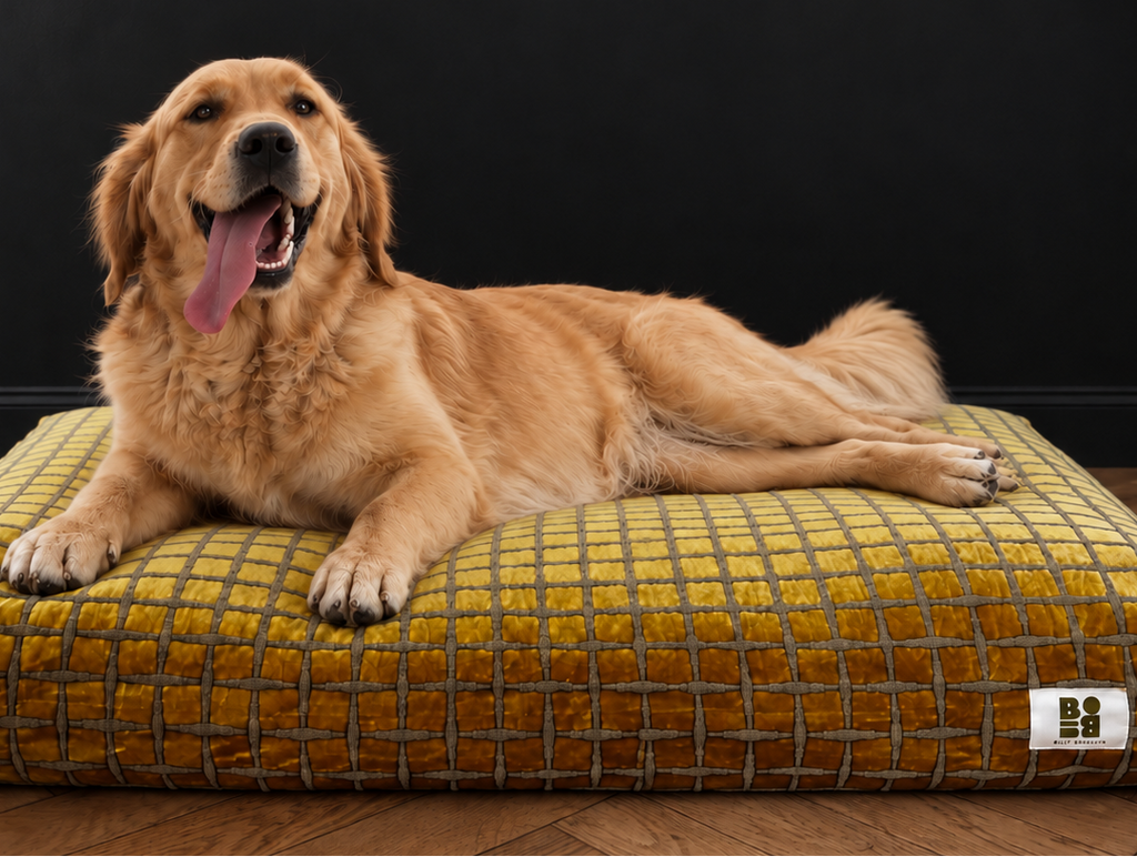 Chien installé sur le coussin SOHO – Billy Brooklyn