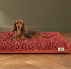 Chien installé sur le coussin RED HOOK – Billy Brooklyn